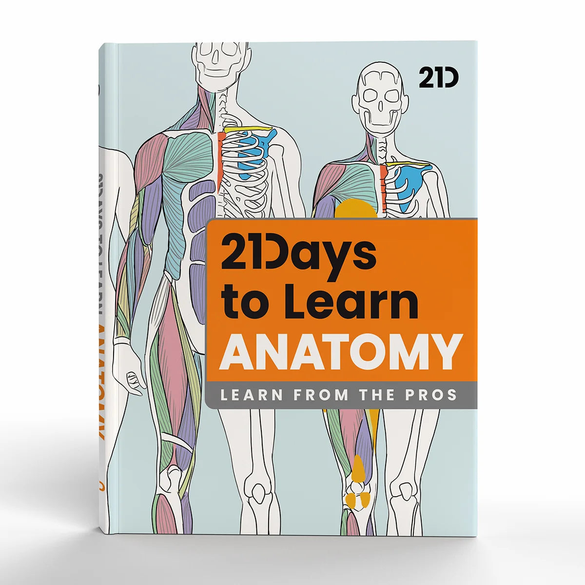 21 Days to Learn Anatomy (SPECIAL OFFER) – 21 Draw 21 Days to Learn Anatomy (SPECIAL OFFER) – 21 Draw