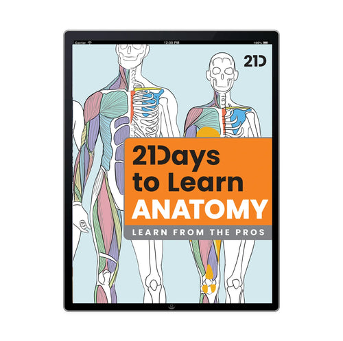 21 Days to Learn Anatomy
