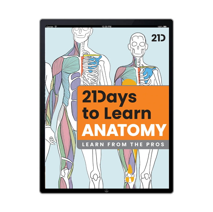 21 Days to Learn Anatomy