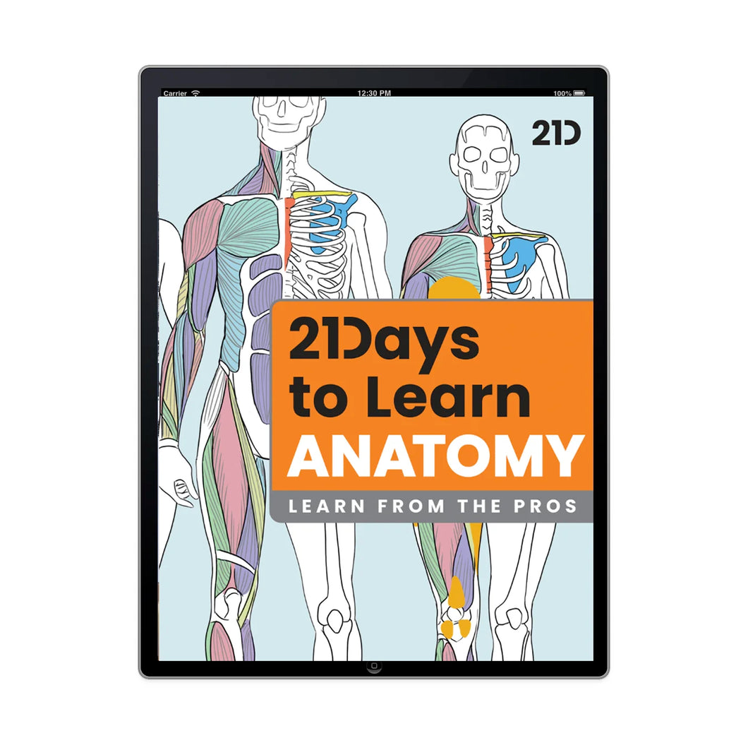 21 Days to Learn Anatomy  - FR