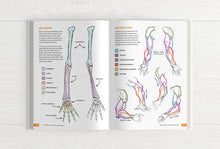 Load image into Gallery viewer, 21 Days to Learn Anatomy