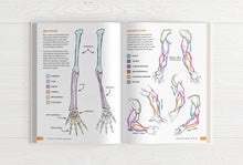 Load image into Gallery viewer, Inside 21 Days to Learn Anatomy — limb anatomy spread