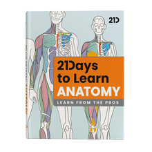 Load image into Gallery viewer, 21 Days to Learn Anatomy