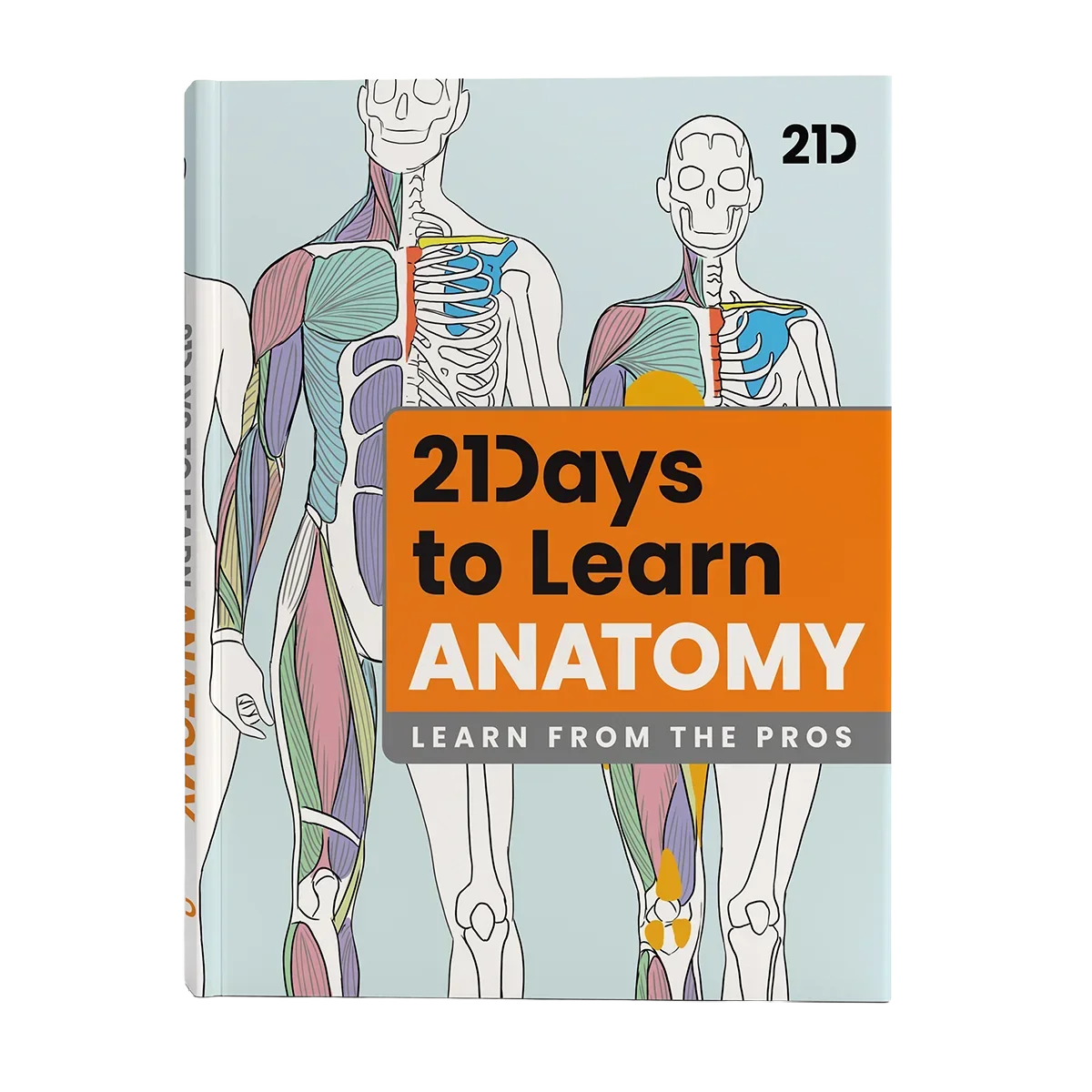 Book Bundle 7-Pack | Hardcovers + Free eBooks – 21 Draw
