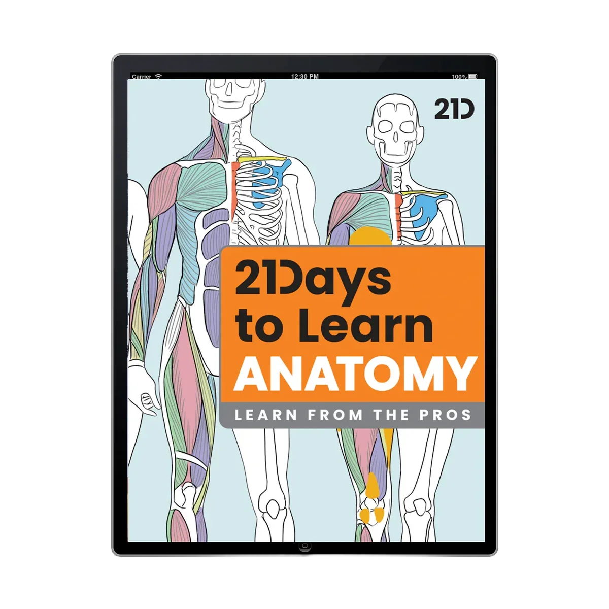 21 Days to Learn Anatomy - Master Figure Drawing – 21 Draw