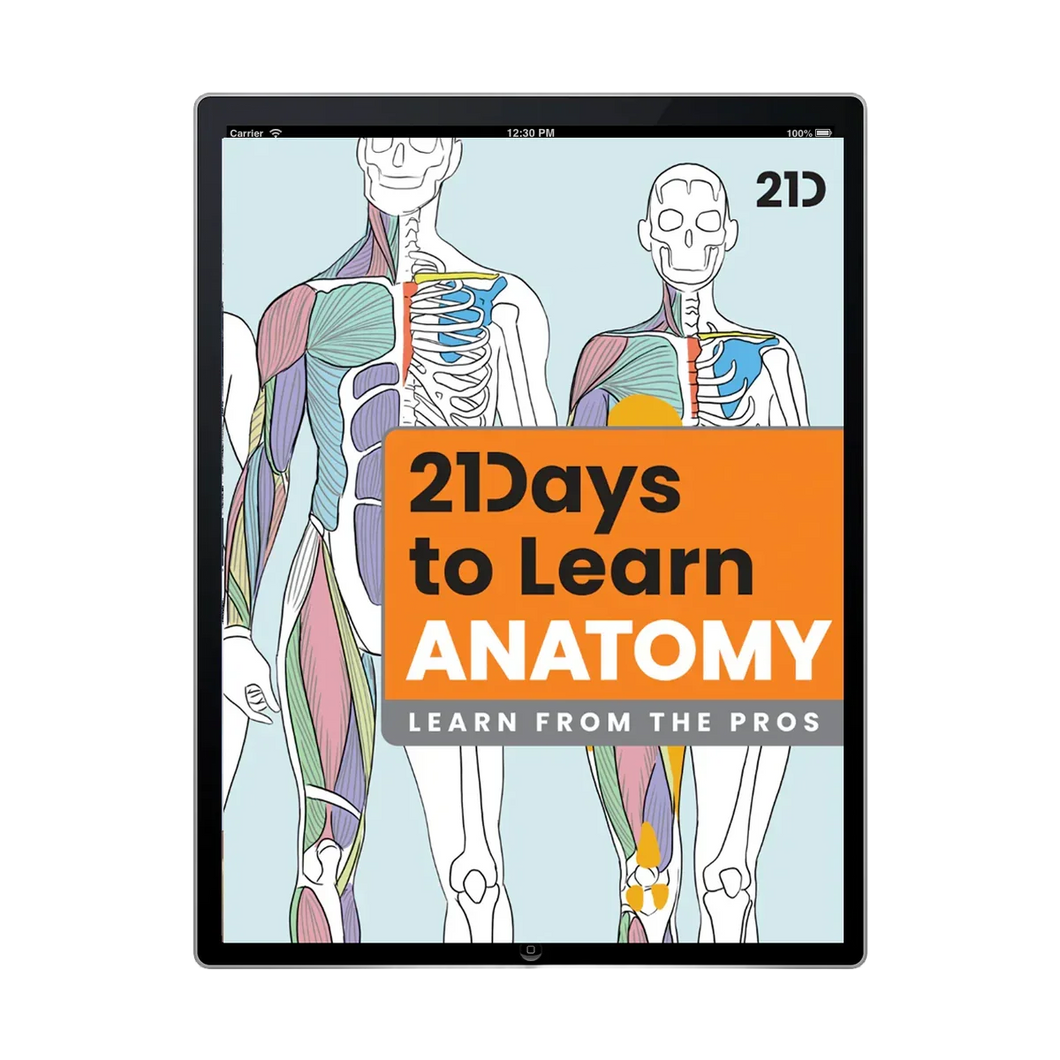21 Days to Learn Anatomy - Master Figure Drawing – 21 Draw