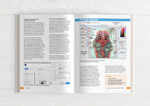 Load image into Gallery viewer, Illustrator&#39;s Guidebook 2 &amp; 3 (HARDCOVER + EBOOKS)