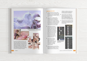 Illustrator's Guidebook 2 & 3 (HARDCOVER + EBOOKS)