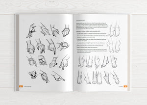 Illustrator's Guidebook