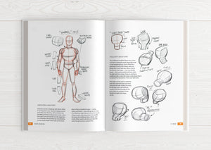 Illustrator's Guidebook 1